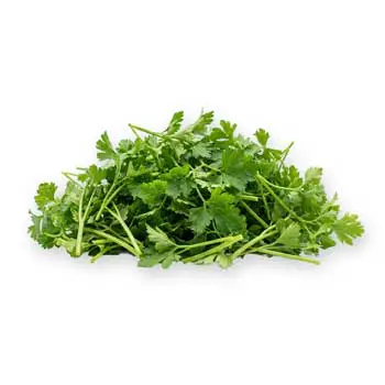 Aromatics & Herbs