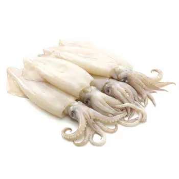 Seafood